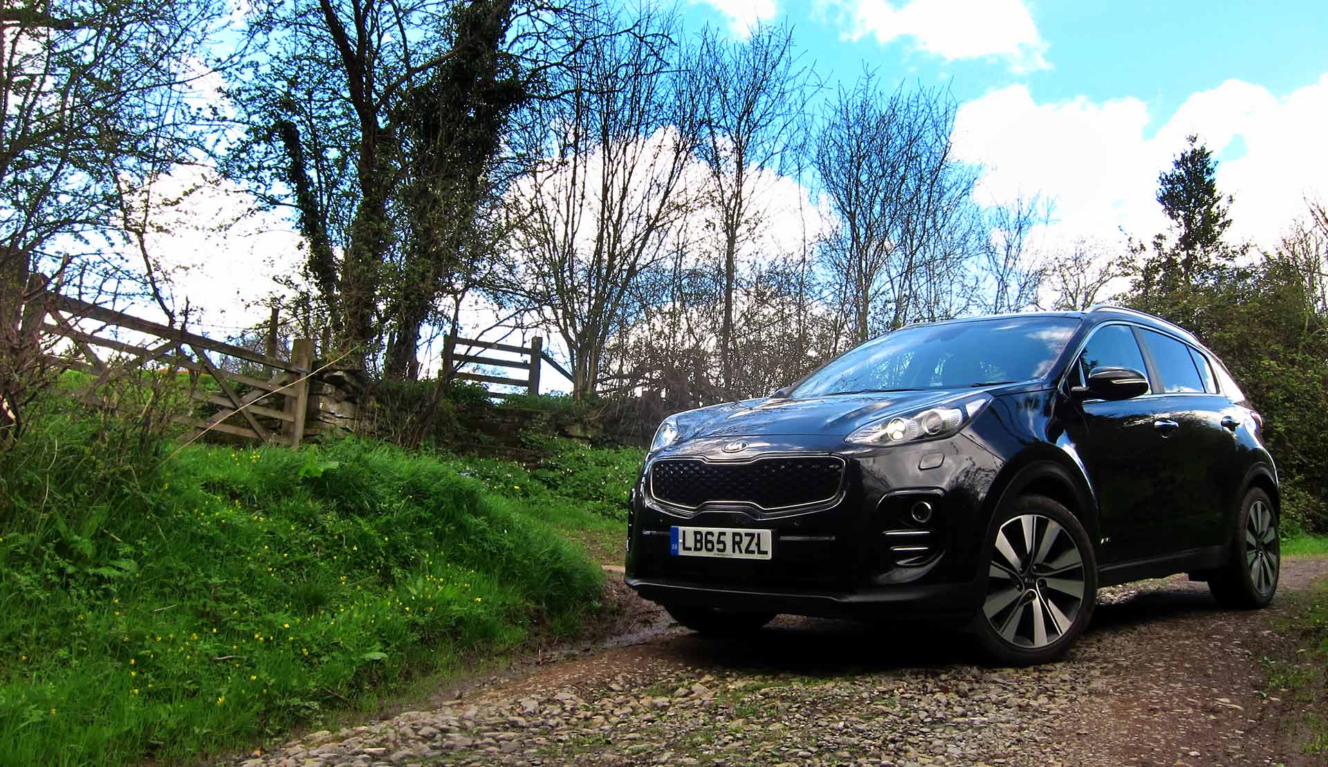 Kia Sportage long term test